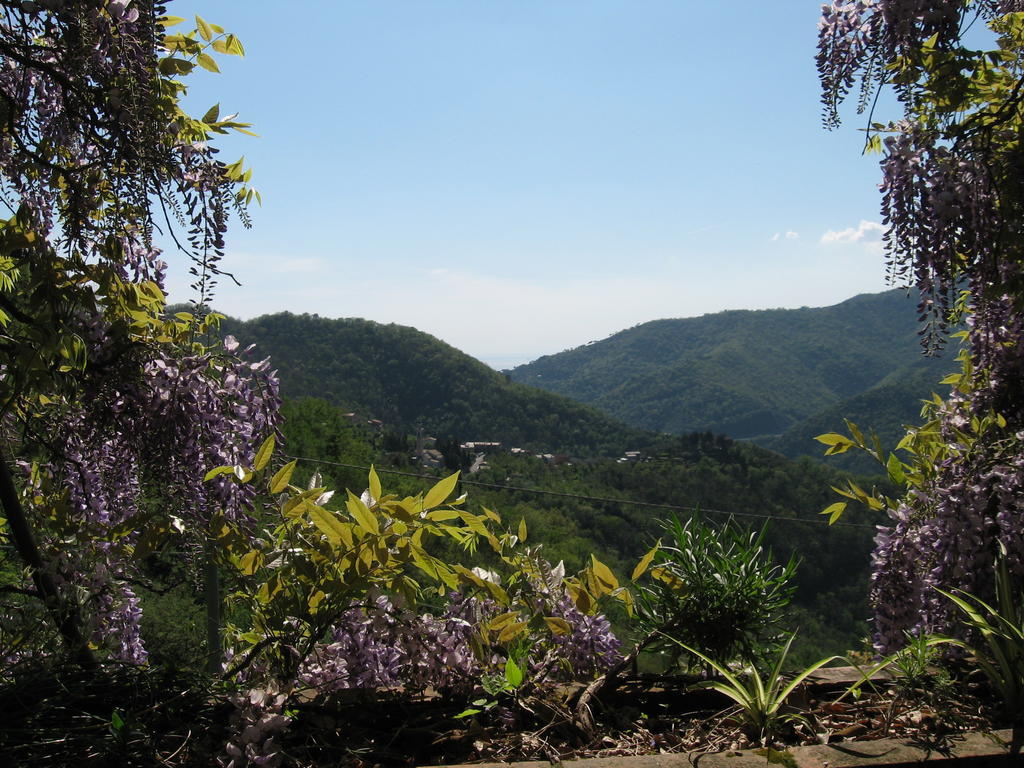 B&B I Glicini Vescina Exterior photo