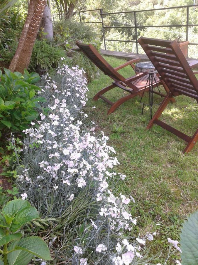 B&B I Glicini Vescina Exterior photo